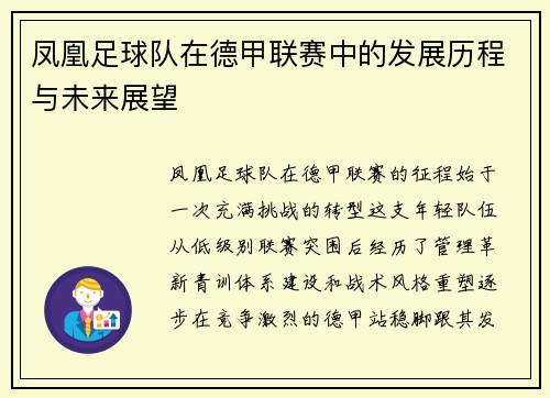 凤凰足球队在德甲联赛中的发展历程与未来展望